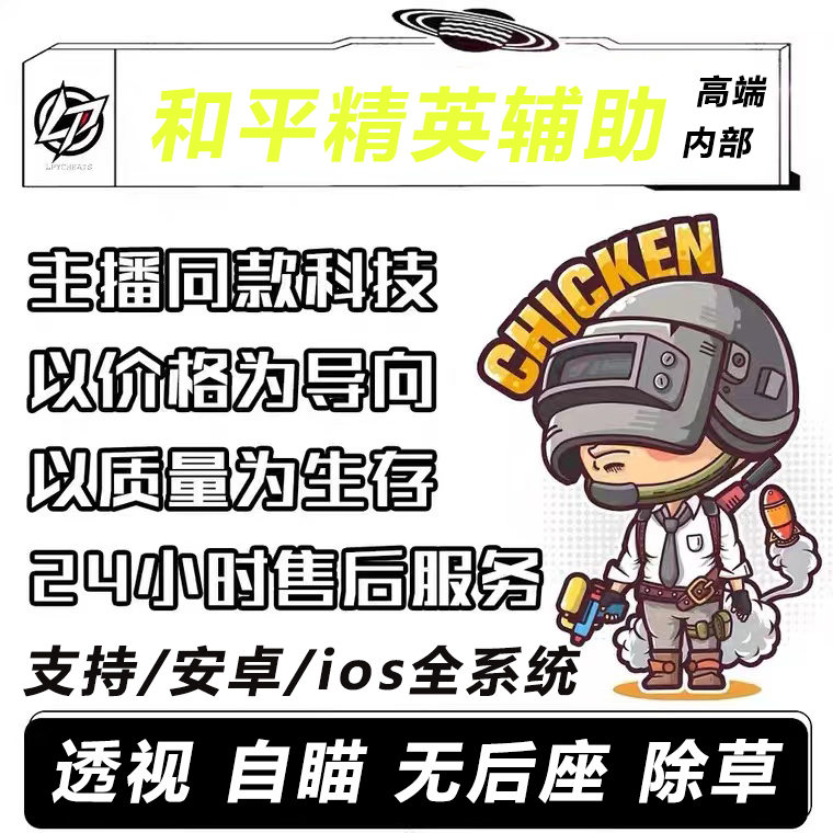 新手小白如何购买使用辅助！