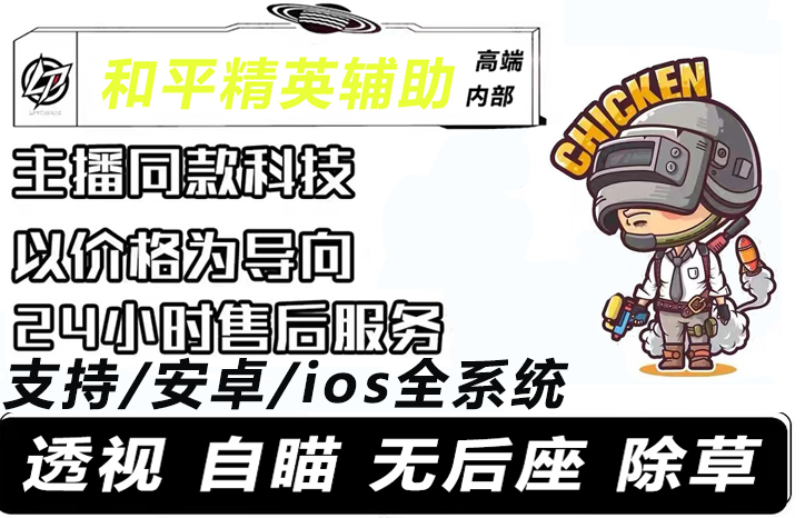 和平精英辅助都有哪些功能?